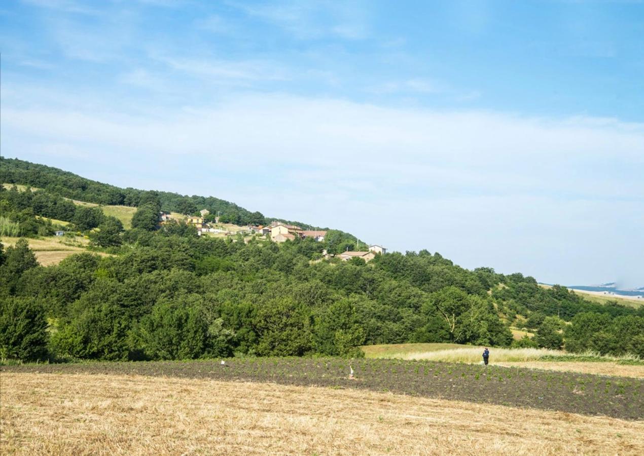 Le Pitture Casa Di Campagna Filiano Exterior foto