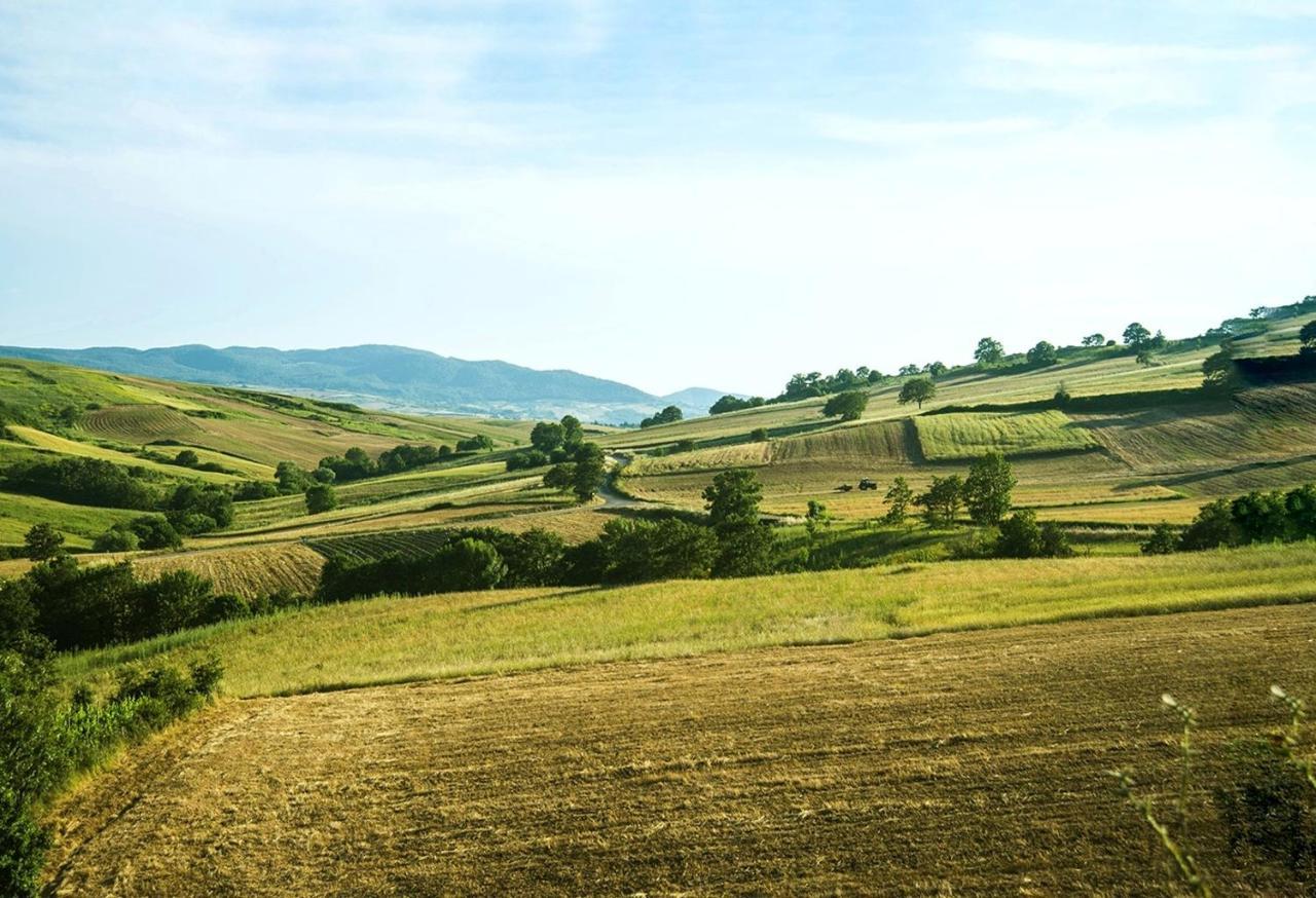 Le Pitture Casa Di Campagna Filiano Exterior foto
